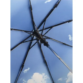 AC mini umbrella FARE®-Nature