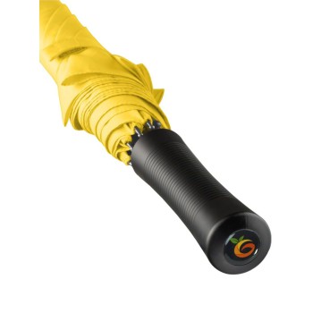 AC regular umbrella