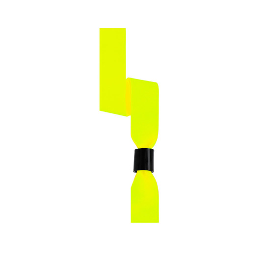 Clasmy