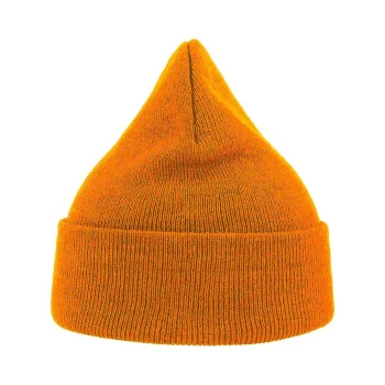 Eko Beanie