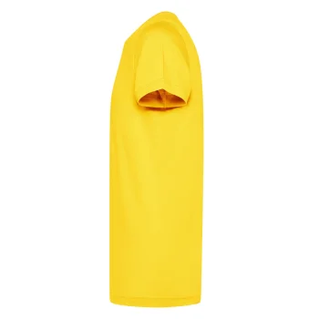 Gemini Organic T-shirt