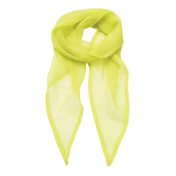 Ladies Chiffon Scarf