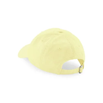 Low Profile 6 Panel Dad Cap