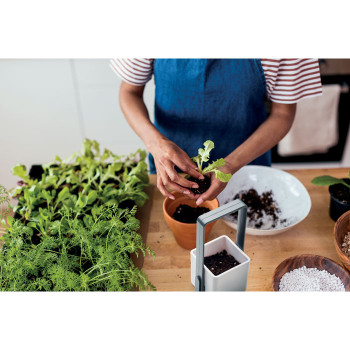 LUSHLET - Giardino interno con luce LED