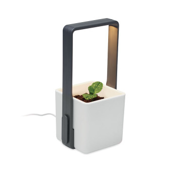 LUSHLET - Giardino interno con luce LED