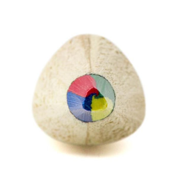 Matita multicolore Mae