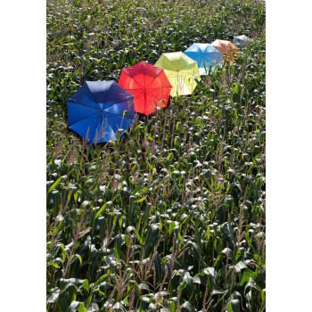 Ombrello automatico, in poliestere 190 T Andy