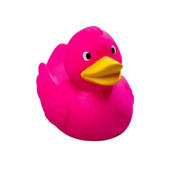 Squeaky duck