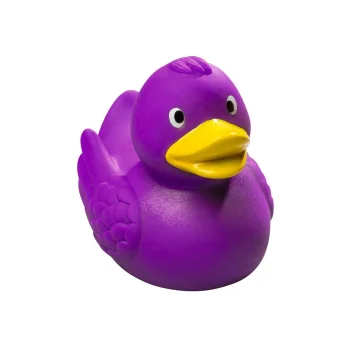 Squeaky duck