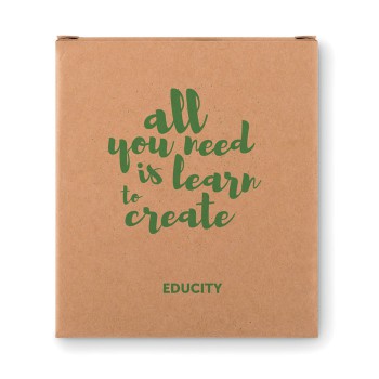 STREET - Set 4 gessi colorati