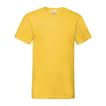 Valueweight V-Neck T